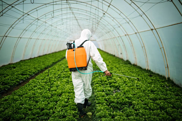 Best Best Pest Control Companies  in Staffd, OR