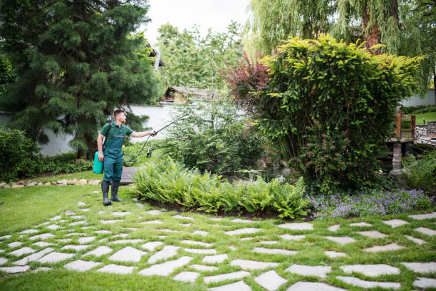 Reliable Stafford, OR Pest Control Solutions