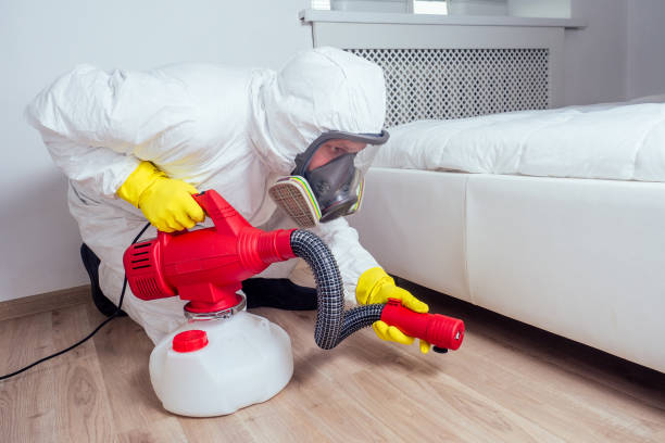 Best Termite Control Services  in Staffd, OR