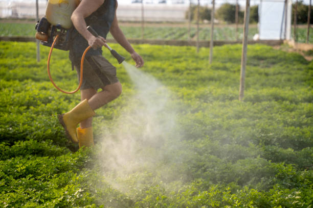Best Residential Pest Control  in Staffd, OR
